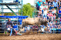QueanbeyanRodeo2017_3110