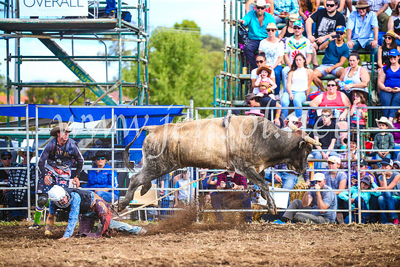 QueanbeyanRodeo2017_3110