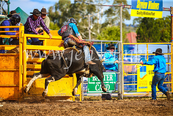 QueanbeyanRodeo2017_3510