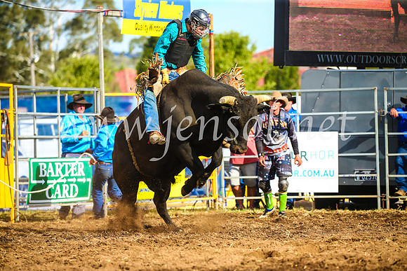 QueanbeyanRodeo2017_3479