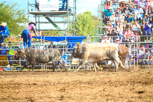QueanbeyanRodeo2017_3222