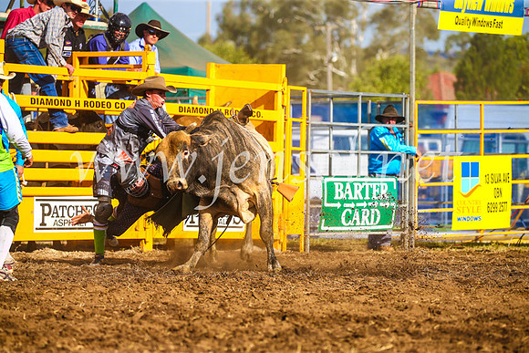 QueanbeyanRodeo2017_3393