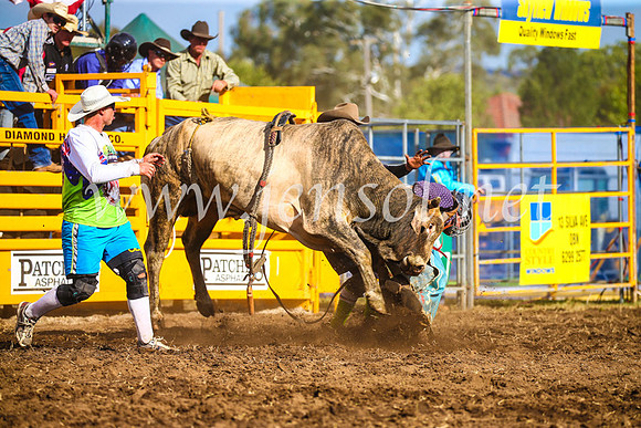 QueanbeyanRodeo2017_3404