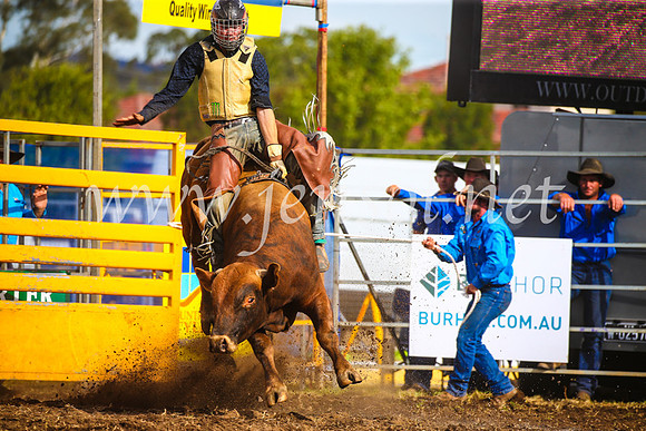 QueanbeyanRodeo2017_3247