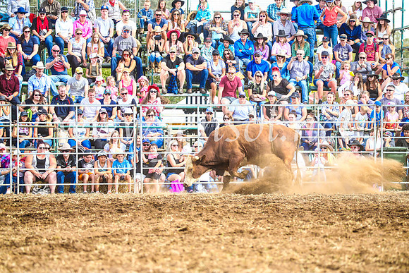 QueanbeyanRodeo2017_3218