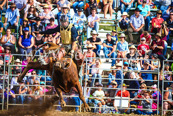 QueanbeyanRodeo2017_3282