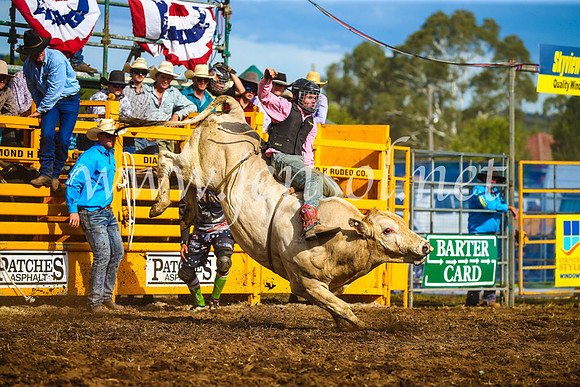 QueanbeyanRodeo2017_3240