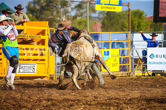 QueanbeyanRodeo2017_3399