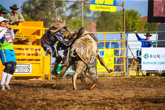 QueanbeyanRodeo2017_3401