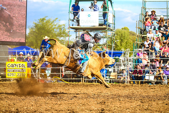 QueanbeyanRodeo2017_3364