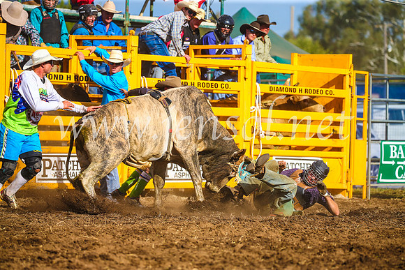 QueanbeyanRodeo2017_3385