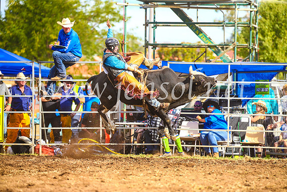 QueanbeyanRodeo2017_3567