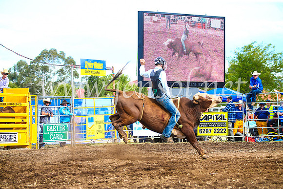 QueanbeyanRodeo2017_3198