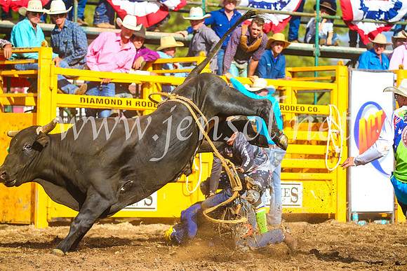 QueanbeyanRodeo2017_3454