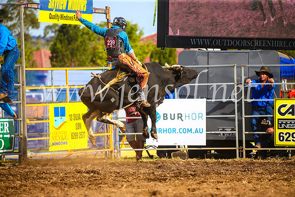 QueanbeyanRodeo2017_3533