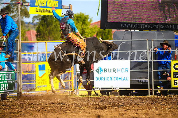 QueanbeyanRodeo2017_3534
