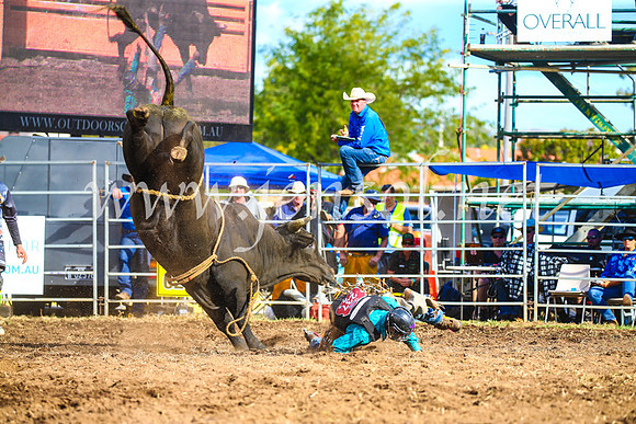 QueanbeyanRodeo2017_3496