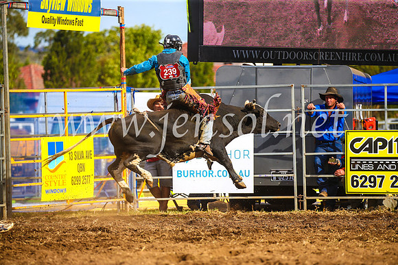 QueanbeyanRodeo2017_3547
