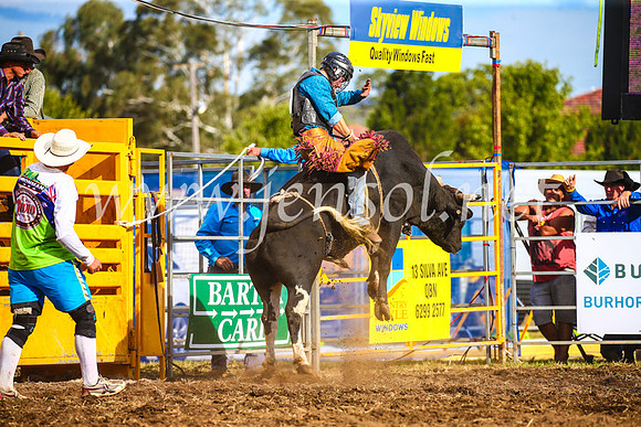 QueanbeyanRodeo2017_3530