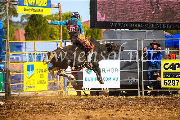 QueanbeyanRodeo2017_3532