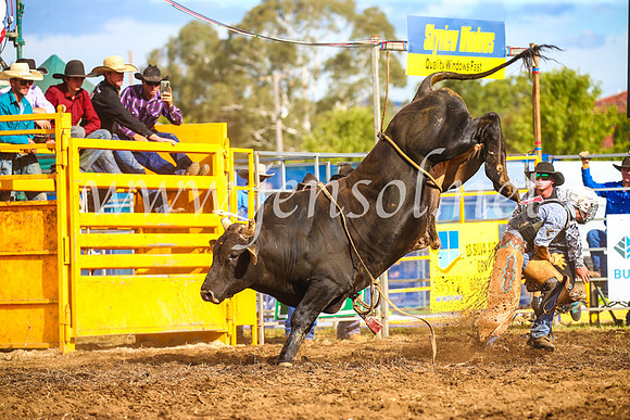 QueanbeyanRodeo2017_3324