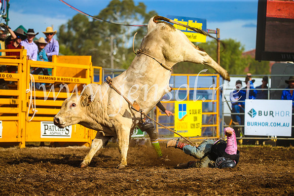 QueanbeyanRodeo2017_3242