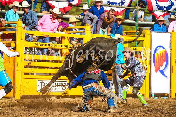 QueanbeyanRodeo2017_3435