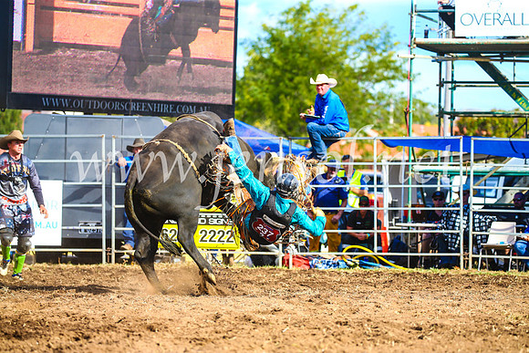 QueanbeyanRodeo2017_3499