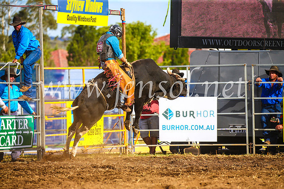 QueanbeyanRodeo2017_3531