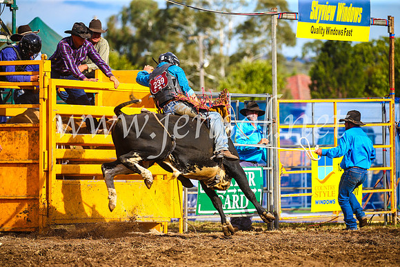 QueanbeyanRodeo2017_3507