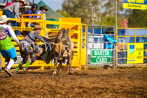 QueanbeyanRodeo2017_3391