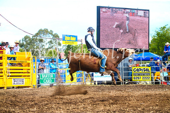 QueanbeyanRodeo2017_3199