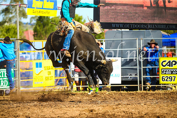QueanbeyanRodeo2017_3480