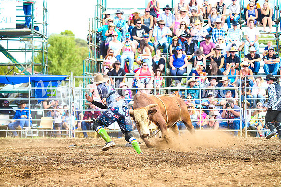 QueanbeyanRodeo2017_3207