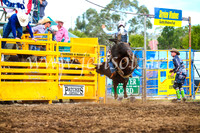 QueanbeyanRodeo2017_3022