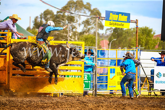 QueanbeyanRodeo2017_3058