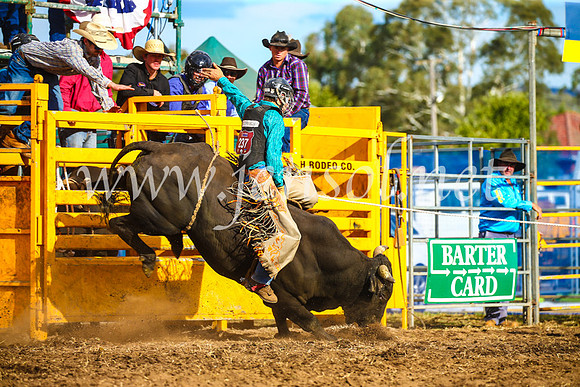 QueanbeyanRodeo2017_3471