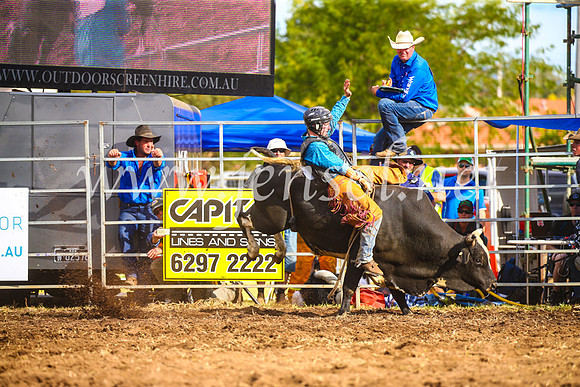 QueanbeyanRodeo2017_3563
