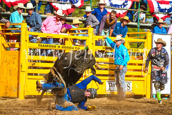 QueanbeyanRodeo2017_3441