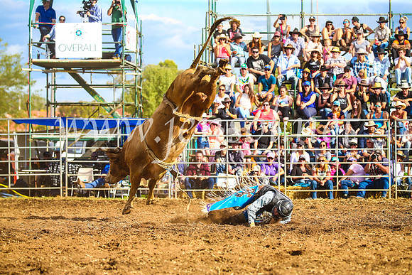 QueanbeyanRodeo2017_3356