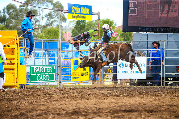 QueanbeyanRodeo2017_3056