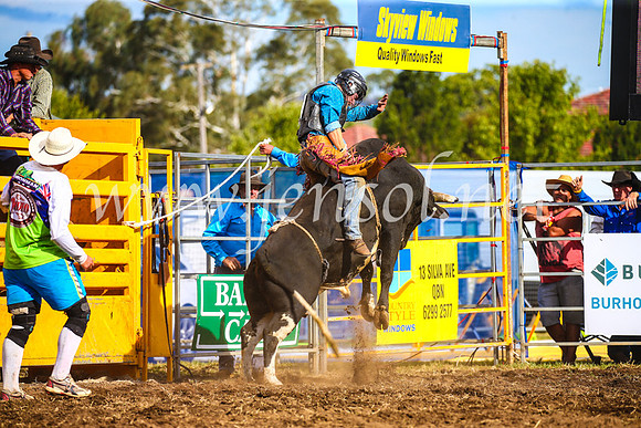 QueanbeyanRodeo2017_3537