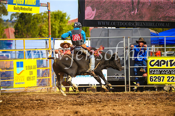 QueanbeyanRodeo2017_3548