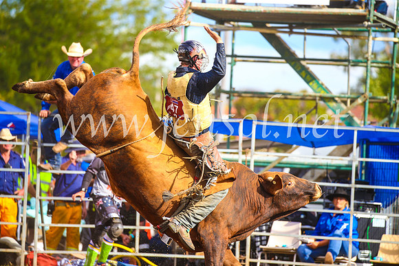 QueanbeyanRodeo2017_3272