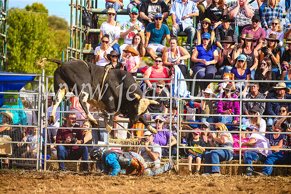 QueanbeyanRodeo2017_3573