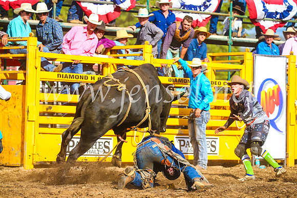 QueanbeyanRodeo2017_3439