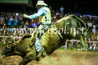 MoruyaRodeo2017_5164