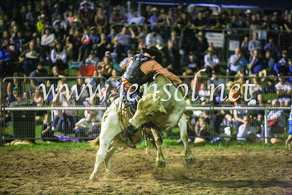 MoruyaRodeo2017_5201