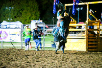 BathurstShow2017Fri_2219
