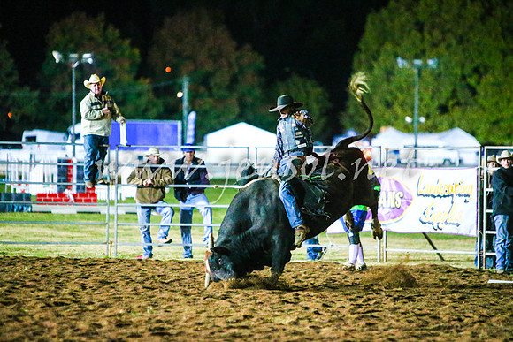 BathurstShow2017Fri_2360